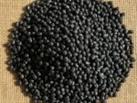 Black Urad Dal (Kala Urad) – Pure & Auspicious for Pooja and Rituals - Image 2