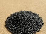 Black Urad Dal (Kala Urad) – Pure & Auspicious for Pooja and Rituals - Image 3
