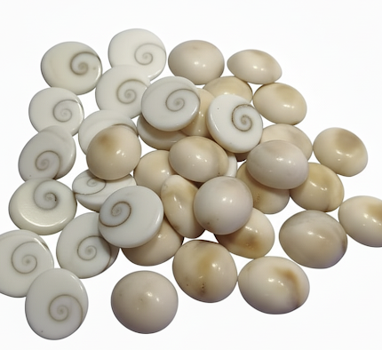 Gomtichakar (गोमटीचक्र / Gomti Chakra)