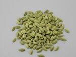 Cardamom (Elaichi) – Premium & Auspicious for Pooja and Rituals - Image 3