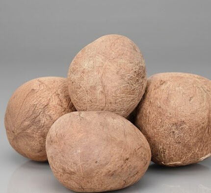 Dry Coconut (Garigola) – Pure & Auspicious for Pooja and Rituals