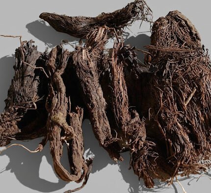 Nardostachys (Jatamansi / Spikenard) – Sacred Herb for Pooja & Rituals