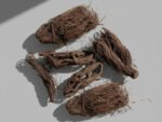 Nardostachys (Jatamansi / Spikenard) – Sacred Herb for Pooja & Rituals - Image 3