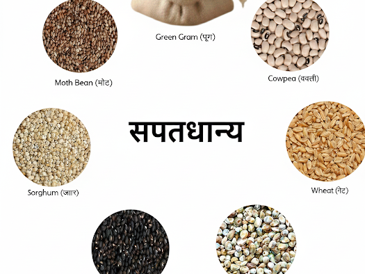 1766049029156 Saptadhanya - Image 1