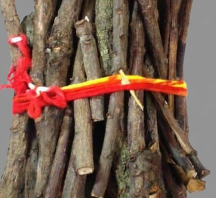 Mango Wood – Sacred & Aromatic for Pooja and Havan