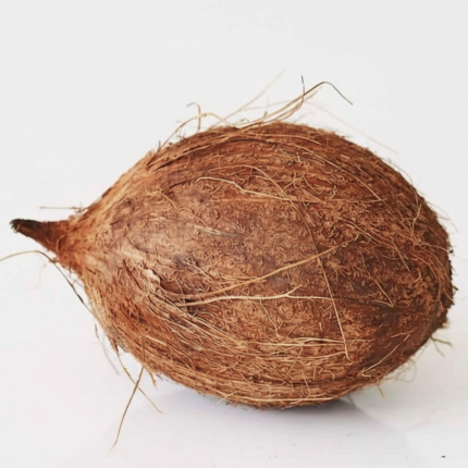 Puja Coconut – Sacred & Auspicious for Religious Rituals