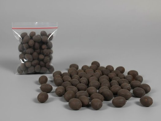 Gemini_Generated_Image_pgb8c4pgb8c4pgb8~2.jpg Premium Lotus Seeds (Kamal Gatta) - Image 1